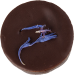 praline-fleur-bleu